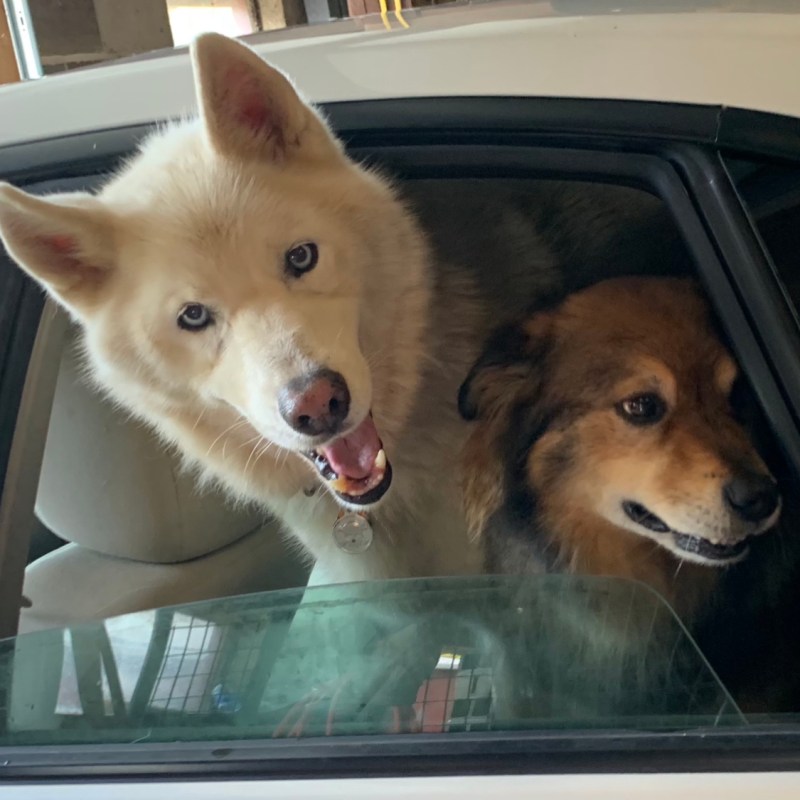 Why we hate summer. And what we are going to do about&nbsp;it!